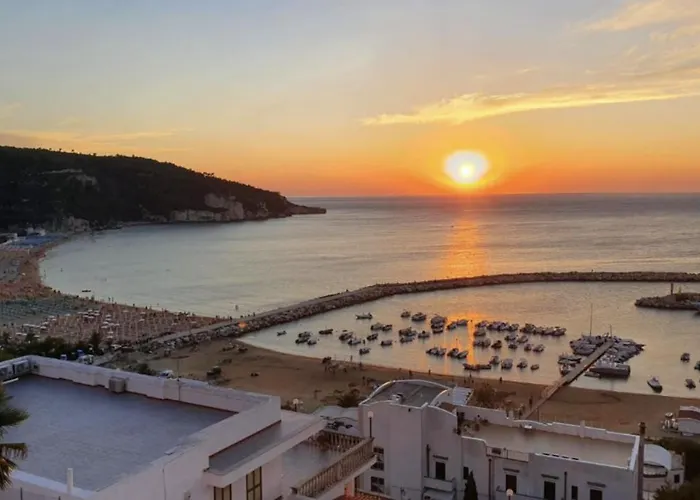 Dependence Valle Clavia 佩斯基奇